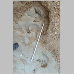 DSCN0514cr New tracks E gravel.jpg